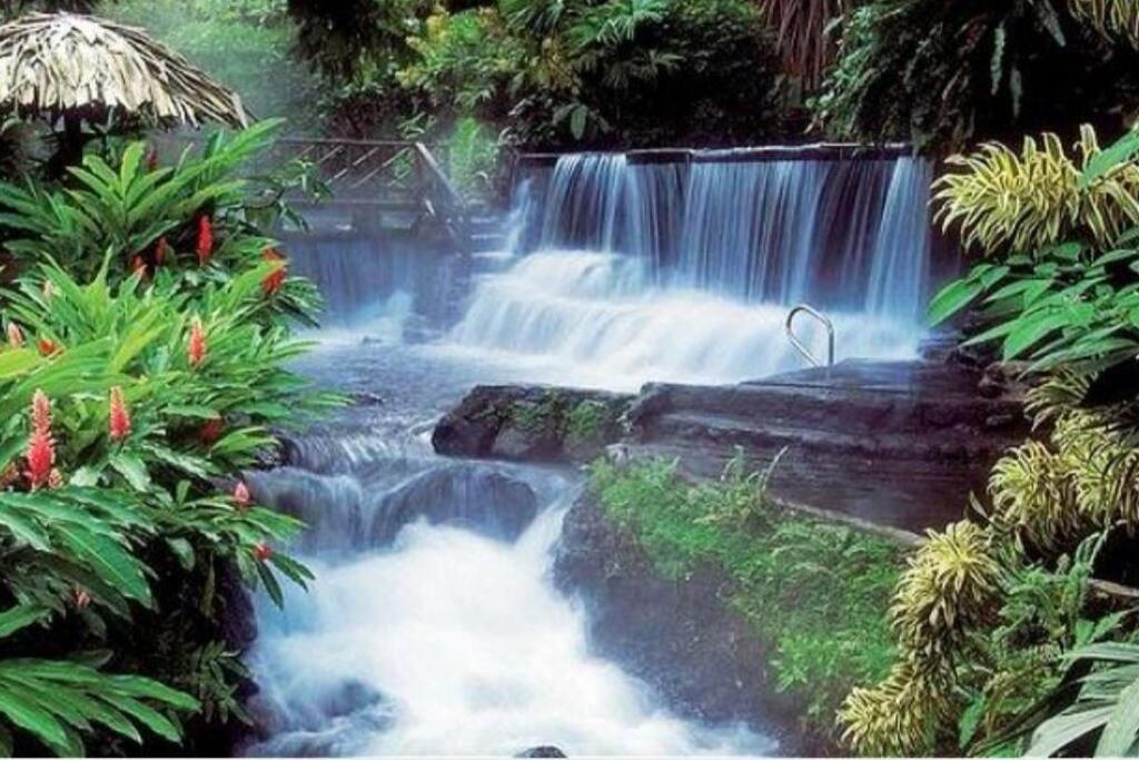 Elegant Villa In La Fortuna With Spacious Backyard Plus Very Private Pool & Parking מראה חיצוני תמונה